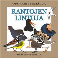 Rantojen lintuja